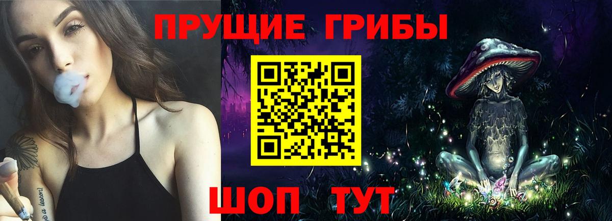 Галлюциногенные грибы Psilocybine cubensis  Псилоцибиновые грибы GOLDEN TEACHER  Вход с VPN  купить наркоту  Стрежевой 